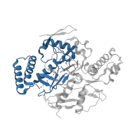 The deposited structure of PDB entry 3tym contains 2 copies of CATH domain 3.90.340.10 (Nitric Oxide Synthase; Chain A, domain 1) in Nitric oxide synthase 1. Showing 1 copy in chain B.