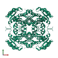 3-oxoacyl-[acyl-carrier-protein] reductase FabG in PDB entry 3u09, assembly 1, front view.