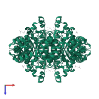 3-oxoacyl-[acyl-carrier-protein] reductase FabG in PDB entry 3u09, assembly 1, top view.