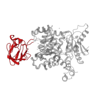 The deposited structure of PDB entry 3u2z contains 4 copies of CATH domain 2.40.33.10 (M1 Pyruvate Kinase; Domain 3) in Pyruvate kinase PKM. Showing 1 copy in chain A.