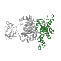 The deposited structure of PDB entry 3u2z contains 4 copies of CATH domain 3.40.1380.20 (Pyruvate Kinase; Chain: A, domain 1) in Pyruvate kinase PKM. Showing 1 copy in chain A.