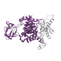 The deposited structure of PDB entry 3u2z contains 4 copies of Pfam domain PF00224 (Pyruvate kinase, barrel domain) in Pyruvate kinase PKM. Showing 1 copy in chain A.