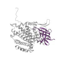 The deposited structure of PDB entry 3u33 contains 12 copies of Pfam domain PF02770 (Acyl-CoA dehydrogenase, middle domain) in Putative acyl-CoA dehydrogenase AidB. Showing 1 copy in chain A.