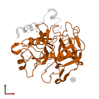 Thrombin heavy chain in PDB entry 3u8o, assembly 1, front view.