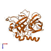 Thrombin heavy chain in PDB entry 3u8o, assembly 1, top view.