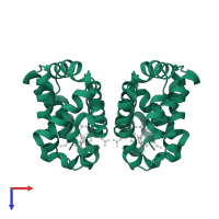 Globin-1 in PDB entry 3uh3, assembly 1, top view.