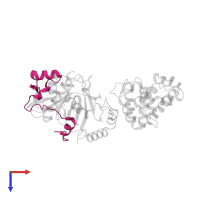 E3 SUMO-protein ligase RanBP2 in PDB entry 3uip, assembly 1, top view.