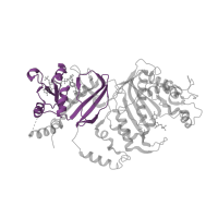 The deposited structure of PDB entry 3um5 contains 2 copies of Pfam domain PF00186 (Dihydrofolate reductase) in Bifunctional dihydrofolate reductase-thymidylate synthase. Showing 1 copy in chain A.