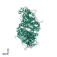 Homo dimeric assembly 1 of PDB entry 3um5 coloured by chemically distinct molecules, side view.