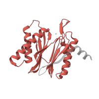 The deposited structure of PDB entry 3unh contains 2 copies of Pfam domain PF00227 (Proteasome subunit) in Proteasome subunit beta type-8. Showing 1 copy in chain K.