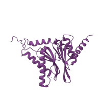 The deposited structure of PDB entry 3unh contains 2 copies of CATH domain 3.60.20.10 (Glutamine Phosphoribosylpyrophosphate, subunit 1, domain 1) in Proteasome subunit alpha type-4. Showing 1 copy in chain B.