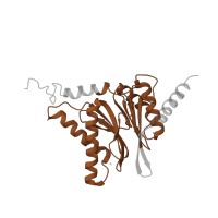 The deposited structure of PDB entry 3unh contains 2 copies of Pfam domain PF00227 (Proteasome subunit) in Proteasome subunit alpha type-4. Showing 1 copy in chain P.