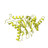The deposited structure of PDB entry 3unh contains 2 copies of CATH domain 3.60.20.10 (Glutamine Phosphoribosylpyrophosphate, subunit 1, domain 1) in Proteasome subunit alpha type-7. Showing 1 copy in chain C.