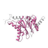 The deposited structure of PDB entry 3unh contains 2 copies of Pfam domain PF00227 (Proteasome subunit) in Proteasome subunit alpha type-7. Showing 1 copy in chain Q.
