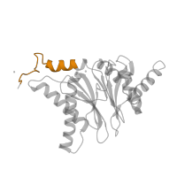 The deposited structure of PDB entry 3unh contains 2 copies of Pfam domain PF10584 (Proteasome subunit A N-terminal signature) in Proteasome subunit alpha type-7. Showing 1 copy in chain Q.