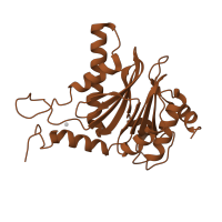 The deposited structure of PDB entry 3unh contains 2 copies of CATH domain 3.60.20.10 (Glutamine Phosphoribosylpyrophosphate, subunit 1, domain 1) in Proteasome subunit alpha type-5. Showing 1 copy in chain D.