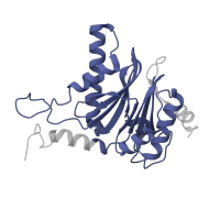 The deposited structure of PDB entry 3unh contains 2 copies of Pfam domain PF00227 (Proteasome subunit) in Proteasome subunit alpha type-5. Showing 1 copy in chain R.