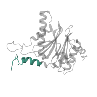 The deposited structure of PDB entry 3unh contains 2 copies of Pfam domain PF10584 (Proteasome subunit A N-terminal signature) in Proteasome subunit alpha type-5. Showing 1 copy in chain R.