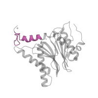 The deposited structure of PDB entry 3unh contains 2 copies of Pfam domain PF10584 (Proteasome subunit A N-terminal signature) in Proteasome subunit alpha type-1. Showing 1 copy in chain S.