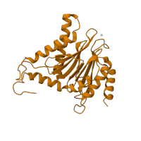 The deposited structure of PDB entry 3unh contains 2 copies of CATH domain 3.60.20.10 (Glutamine Phosphoribosylpyrophosphate, subunit 1, domain 1) in Proteasome subunit alpha type-3. Showing 1 copy in chain F.