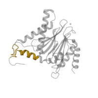 The deposited structure of PDB entry 3unh contains 2 copies of Pfam domain PF10584 (Proteasome subunit A N-terminal signature) in Proteasome subunit alpha type-3. Showing 1 copy in chain T.