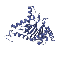 The deposited structure of PDB entry 3unh contains 2 copies of CATH domain 3.60.20.10 (Glutamine Phosphoribosylpyrophosphate, subunit 1, domain 1) in Proteasome subunit alpha type-6. Showing 1 copy in chain G.