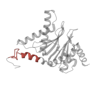 The deposited structure of PDB entry 3unh contains 2 copies of Pfam domain PF10584 (Proteasome subunit A N-terminal signature) in Proteasome subunit alpha type-6. Showing 1 copy in chain U.