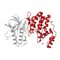 The deposited structure of PDB entry 3uvp contains 1 copy of CATH domain 1.10.510.10 (Transferase(Phosphotransferase); domain 1) in Mitogen-activated protein kinase 14. Showing 1 copy in chain A.