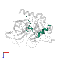 Thrombin light chain in PDB entry 3uwj, assembly 1, top view.