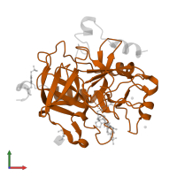 Thrombin heavy chain in PDB entry 3uwj, assembly 1, front view.