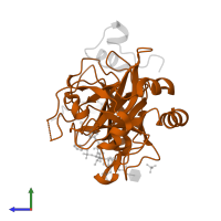 Thrombin heavy chain in PDB entry 3uwj, assembly 1, side view.