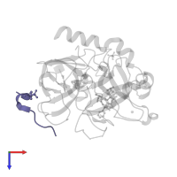 Hirudin variant-2 in PDB entry 3uwj, assembly 1, top view.