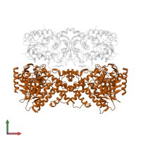 Protein GAL3 in PDB entry 3v2u, assembly 1, front view.