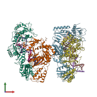PDB entry 3v4i coloured by chain, front view.