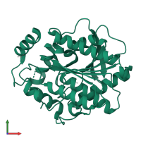 Alpha/beta hydrolase fold-3 domain-containing protein in PDB entry 3v9a, assembly 1, front view.