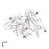 2-acetamido-2-deoxy-beta-D-glucopyranose in PDB entry 3v9e, assembly 1, top view.