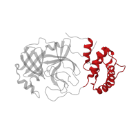 The deposited structure of PDB entry 3vb5 contains 2 copies of CATH domain 1.10.1840.10 (main proteinase (3clpro) structure, domain 3) in 3C-like proteinase nsp5. Showing 1 copy in chain B.