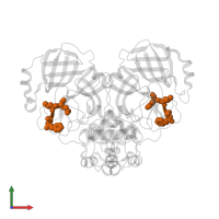 C4Z inhibitor in PDB entry 3vb5, assembly 1, front view.