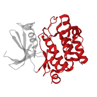 The deposited structure of PDB entry 3vbw contains 1 copy of CATH domain 1.10.510.10 (Transferase(Phosphotransferase); domain 1) in Serine/threonine-protein kinase pim-1. Showing 1 copy in chain A.