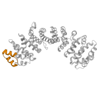 The deposited structure of PDB entry 3ve6 contains 1 copy of Pfam domain PF01749 (Importin beta binding domain) in Importin subunit alpha-1. Showing 1 copy in chain A.