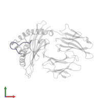LPEP peptide from EBV, P10A, LPEPLPQGQATAY in PDB entry 3vfw, assembly 1, front view.