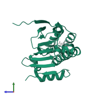 Heat shock protein HSP 90-alpha in PDB entry 3vhd, assembly 1, side view.