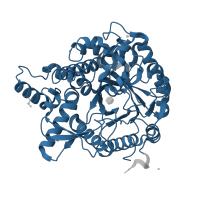 The deposited structure of PDB entry 3vim contains 1 copy of Pfam domain PF00232 (Glycosyl hydrolase family 1) in Beta-glucosidase. Showing 1 copy in chain A.