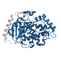 The deposited structure of PDB entry 3vp2 contains 1 copy of Pfam domain PF04960 (Glutaminase) in Glutaminase kidney isoform, mitochondrial 65 kDa chain. Showing 1 copy in chain A.