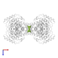 5,5'-(sulfanediyldiethane-2,1-diyl)bis(1,3,4-thiadiazol-2-amine) in PDB entry 3vp2, assembly 1, top view.