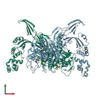 pbp3 protein