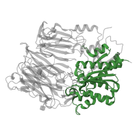 The deposited structure of PDB entry 3w2t contains 2 copies of Pfam domain PF00326 (Prolyl oligopeptidase family) in Dipeptidyl peptidase 4. Showing 1 copy in chain A.