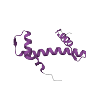 The deposited structure of PDB entry 3waa contains 2 copies of Pfam domain PF15511 (Centromere kinetochore component CENP-T histone fold) in Histone H4. Showing 1 copy in chain F.