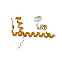 The deposited structure of PDB entry 3waa contains 2 copies of Pfam domain PF00125 (Core histone H2A/H2B/H3/H4) in Histone H2B type 1-J. Showing 1 copy in chain D.