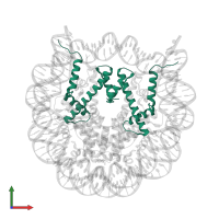 Histone H3.1 in PDB entry 3waa, assembly 1, front view.